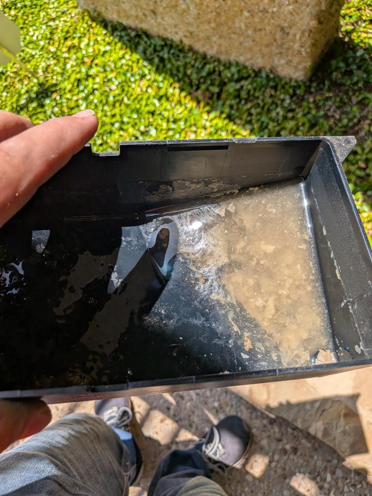 Commercial AC drain pan containing water and debris