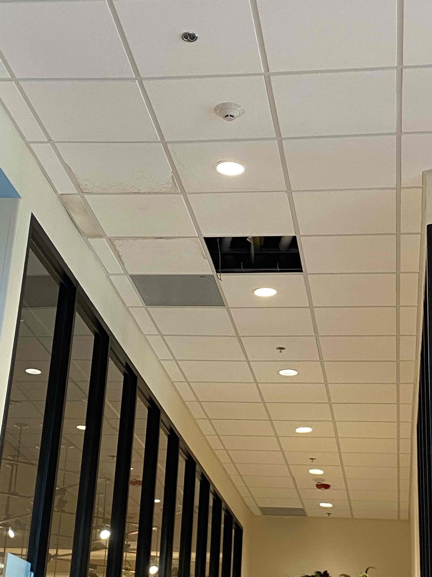 Ceiling access and drying equipment in commercial hallway