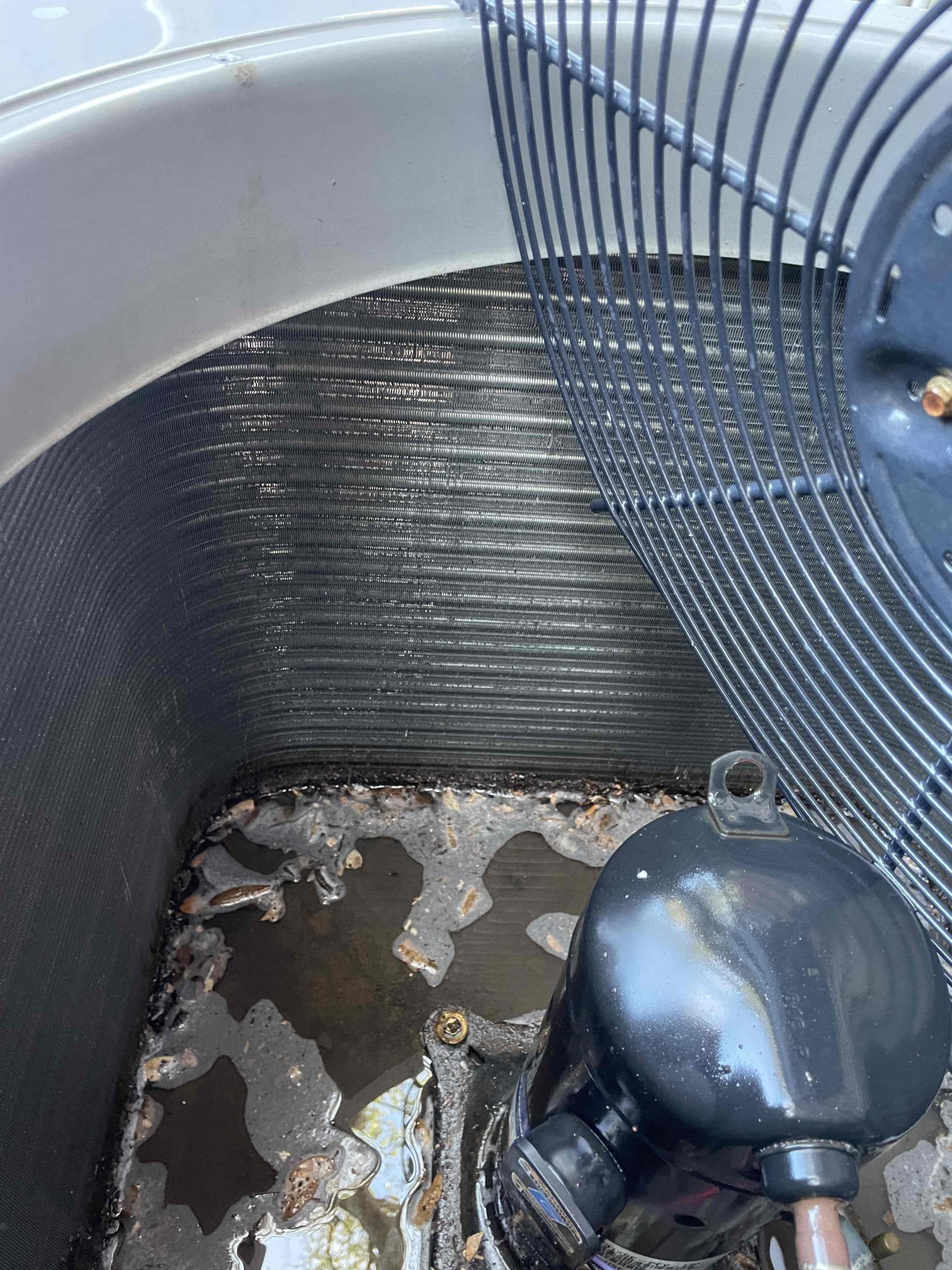 Leaves collected around residential condenser compressor