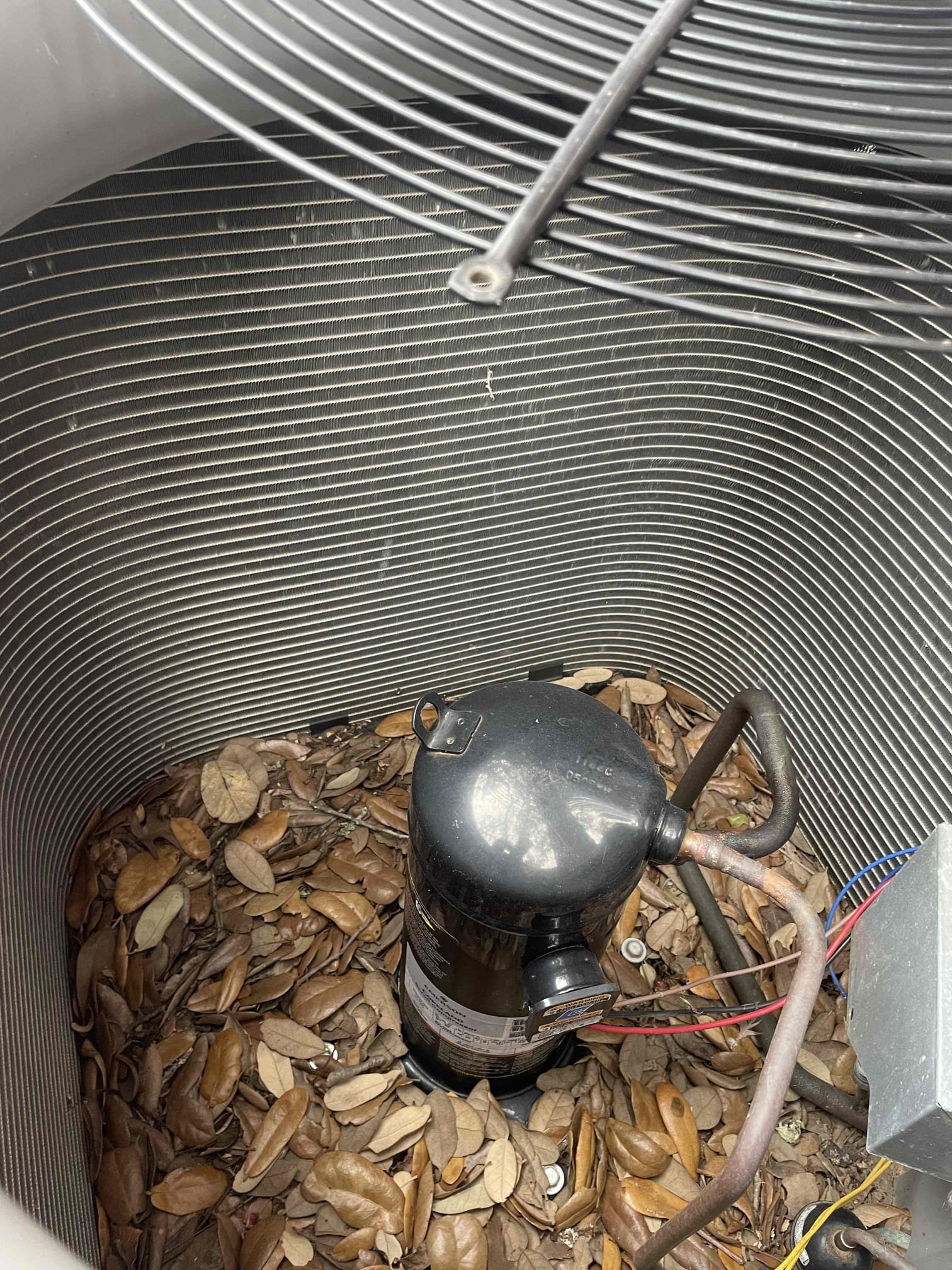 Organic debris inside Cedar Park outdoor AC condenser